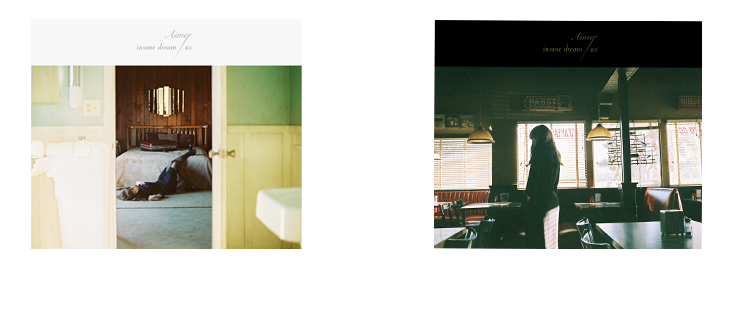 Aimer | 『insane dream / us』購入者特典