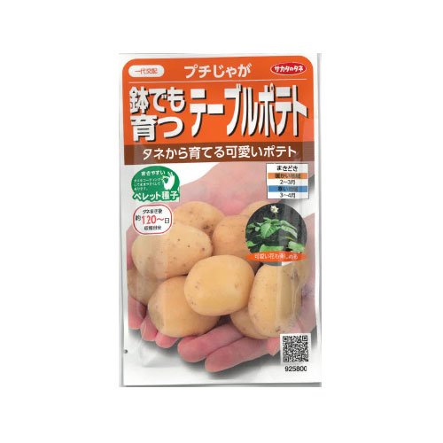 大阪天王寺の赤松種苗 / 【ネコポス対応】 サカタのタネ プチじゃが