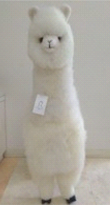 アルパカ雑貨｜アルパカ製ぬいぐるみ｜アルパカワールド