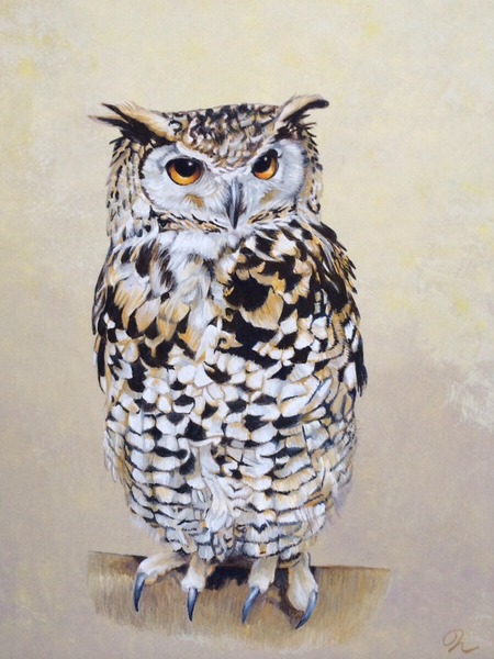 ミミズク」 by Nori｜Artmeter｜暮らしを彩るアートが、きっと見つかる