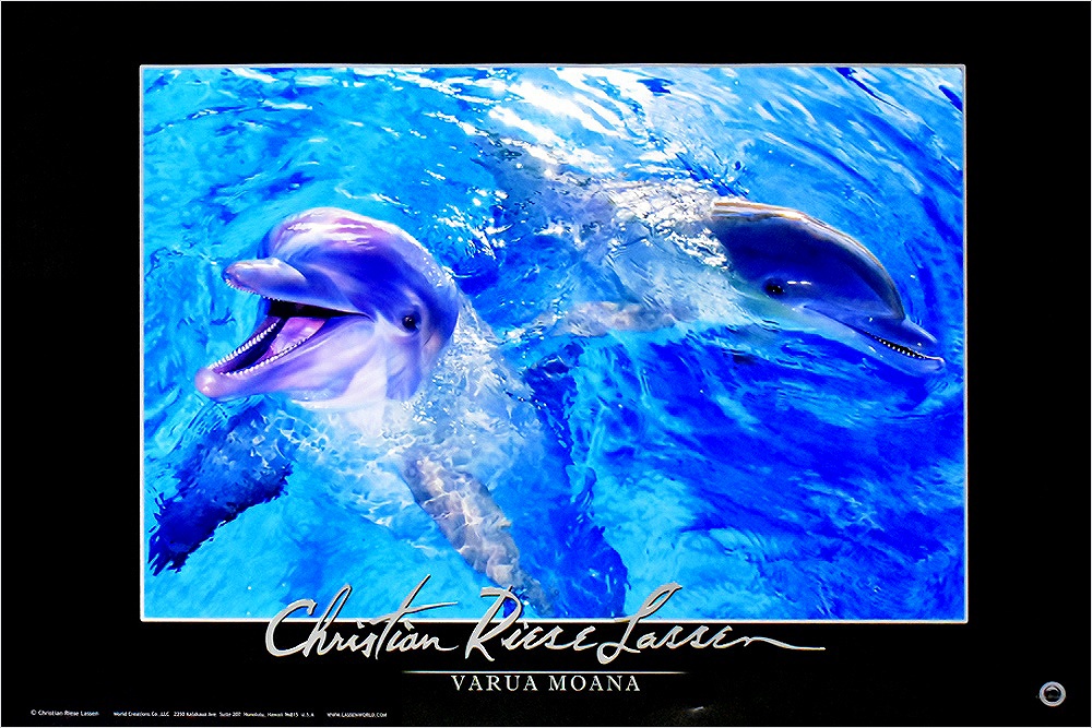 クリスチャン・リース・ラッセン作 Sea Flight