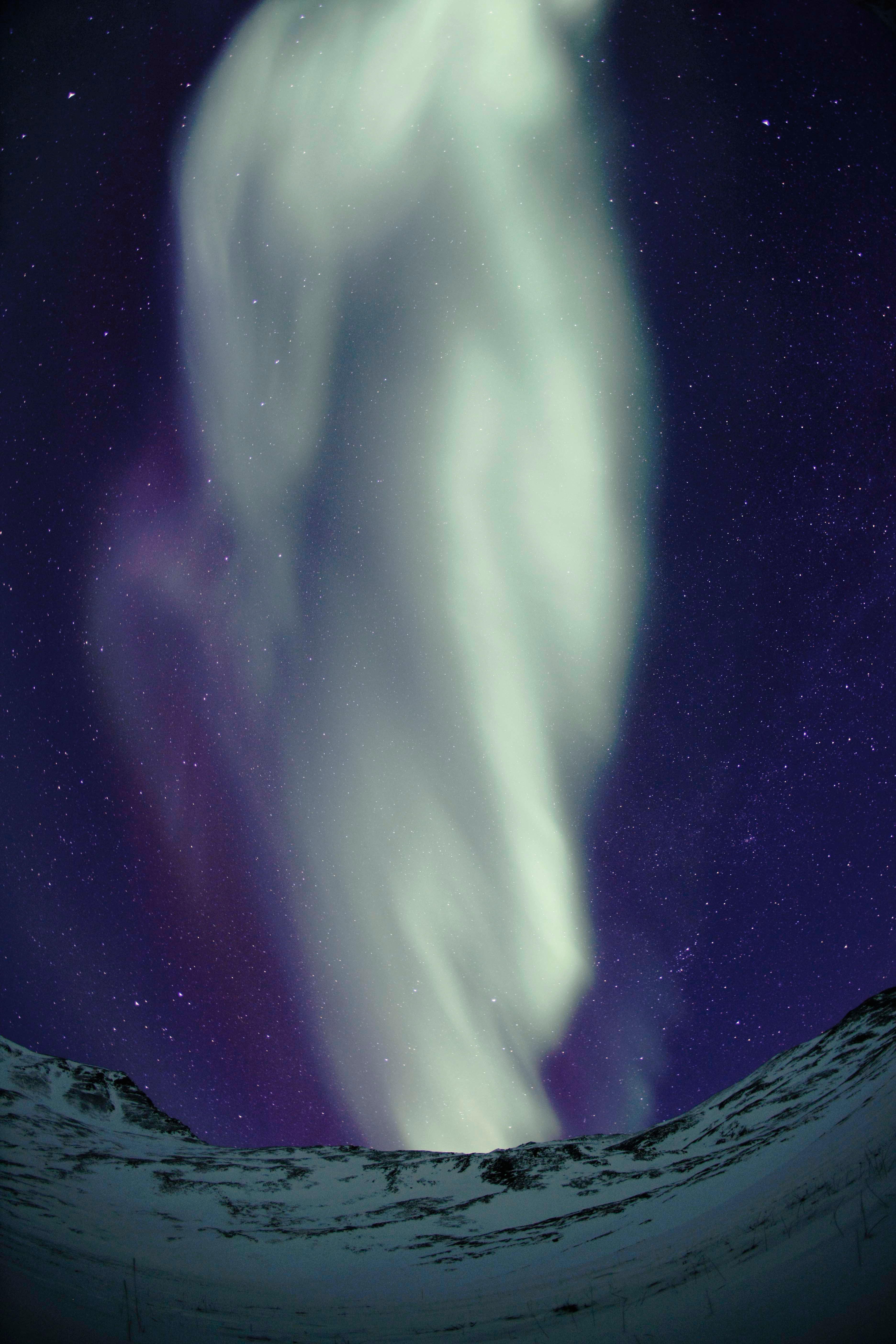 雪山に舞う光の不死鳥 アラスカのオーロラ報告