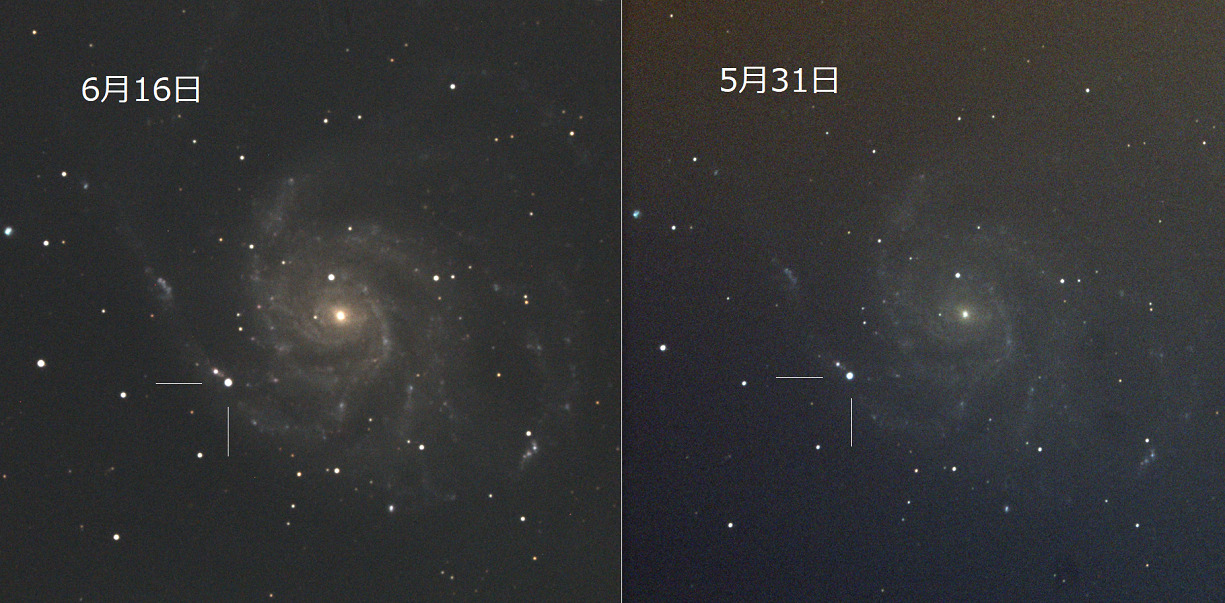 94935: 6月16日のSN 2023ixf by 狩野 正樹 - 天体写真ギャラリー