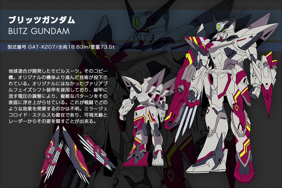 機動戦士GUNDAM SEED DESTINY ASTRAY R/B