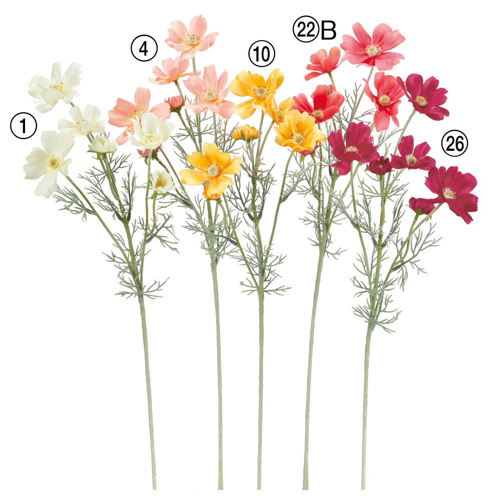 コスモス×6｜商品案内｜株式会社アスカ商会