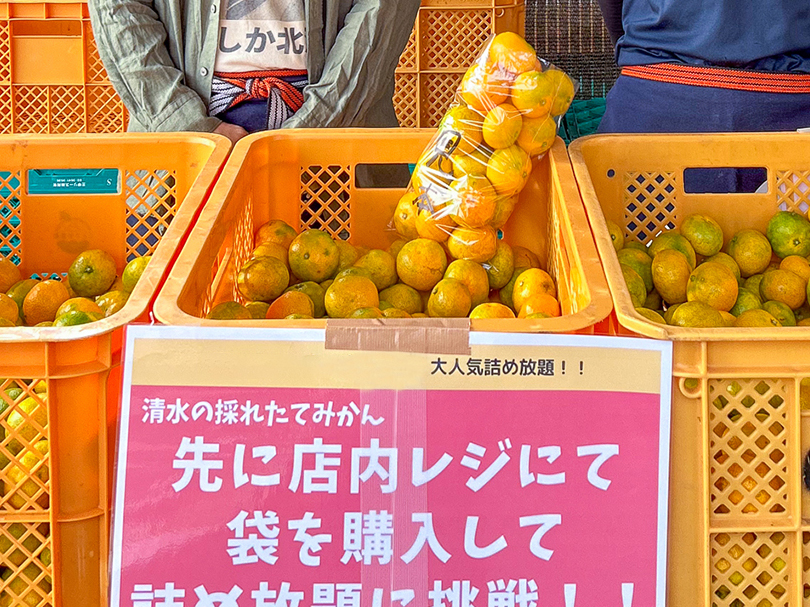 ことぶき農園】みんな大好きみかんの詰め放題！手も袋の一部!? お客に