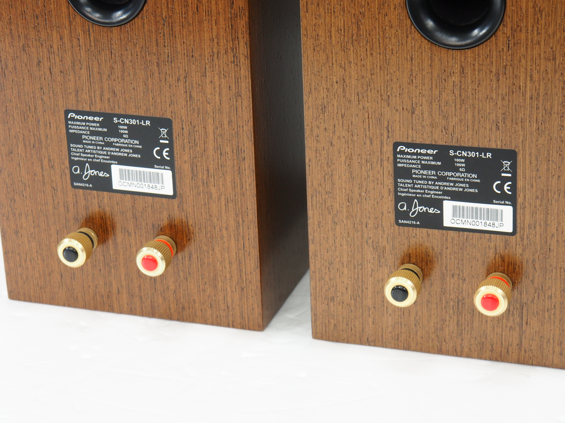 アバックWEB-SHOP / 【中古】Pioneer S-CN301-LR【コード01-10501