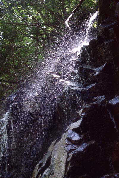 AF Zoom-NIKKOR ED70-300mm F4～5.6D | Camera Museum by awane-photo.com