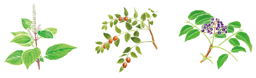 ピュアコールエッセンス＜薬用美容液＞｜製品のご案内｜アザレ化粧品