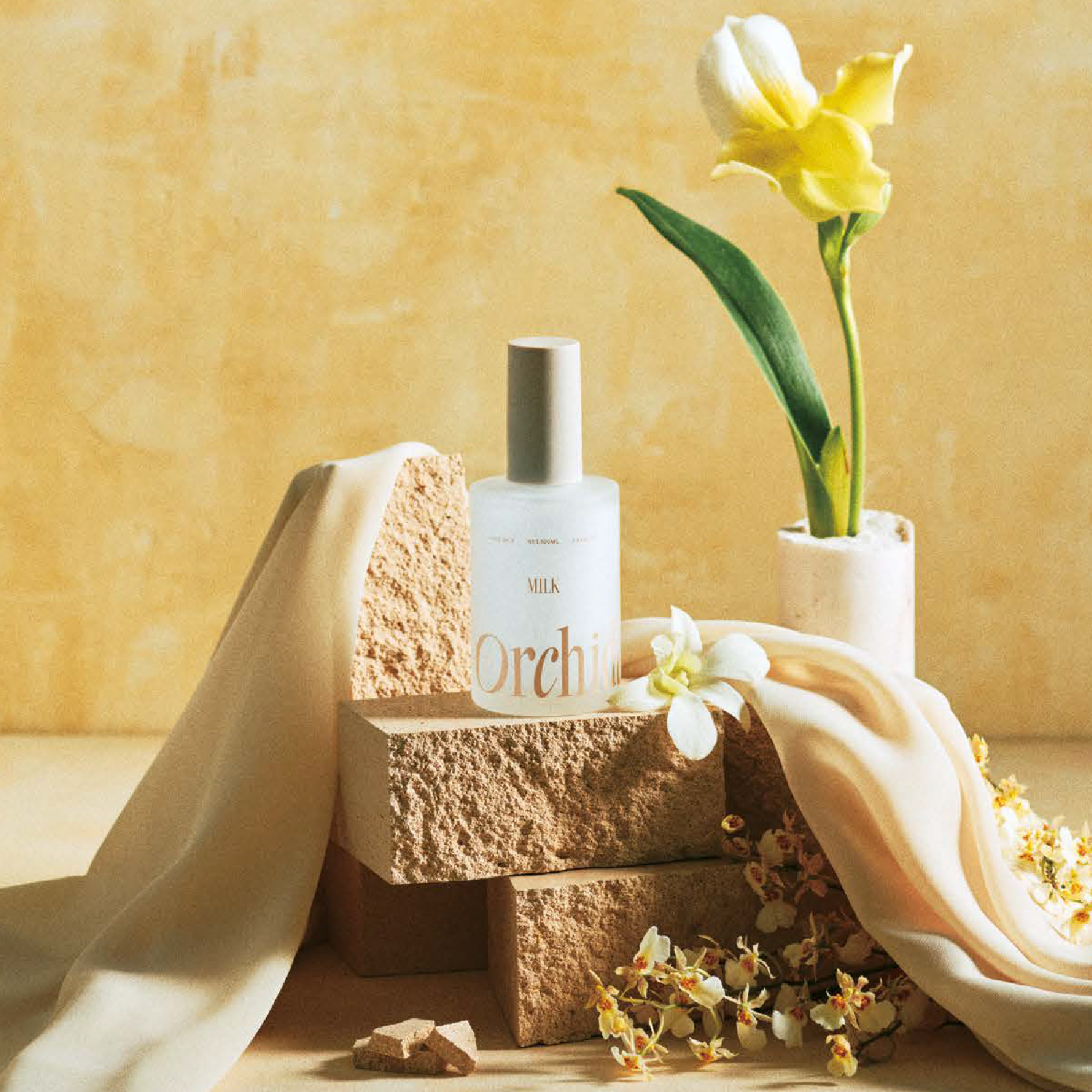 Maison Orchidée | オルキデオイル公式サイト