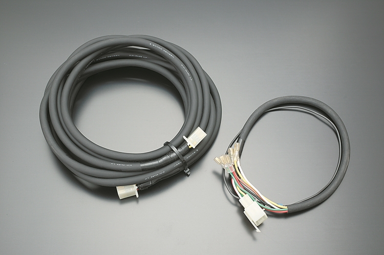 BOLD WORLD / フィッティング