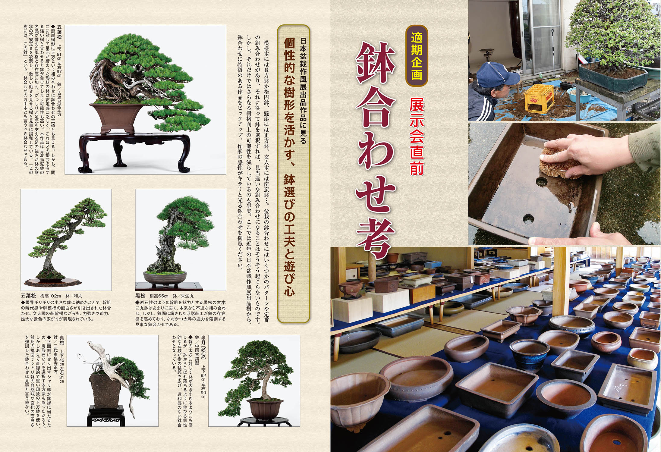 月刊「近代盆栽」2025年12月号 | 盆栽、盆栽書籍、盆栽鉢の通販│近代出版