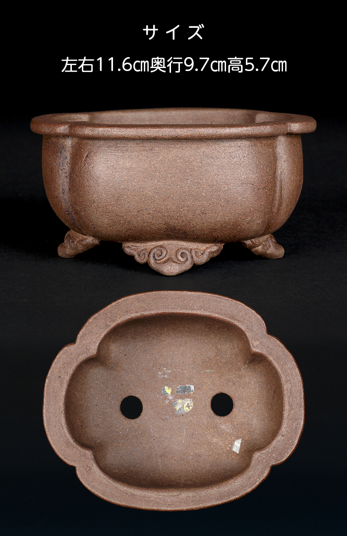 舟山木瓜式鉢 | 盆栽、盆栽書籍、盆栽鉢の通販│近代出版