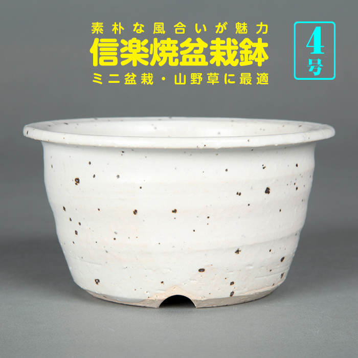 盆栽鉢 | 盆栽、盆栽書籍、盆栽鉢の通販│近代出版