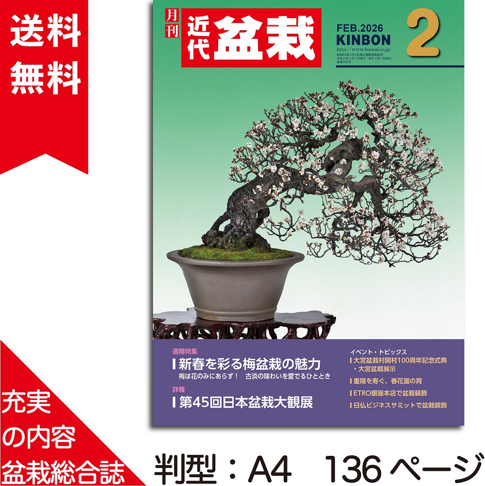 月刊「近代盆栽」2026年2月号 | 盆栽、盆栽書籍、盆栽鉢の通販│近代出版