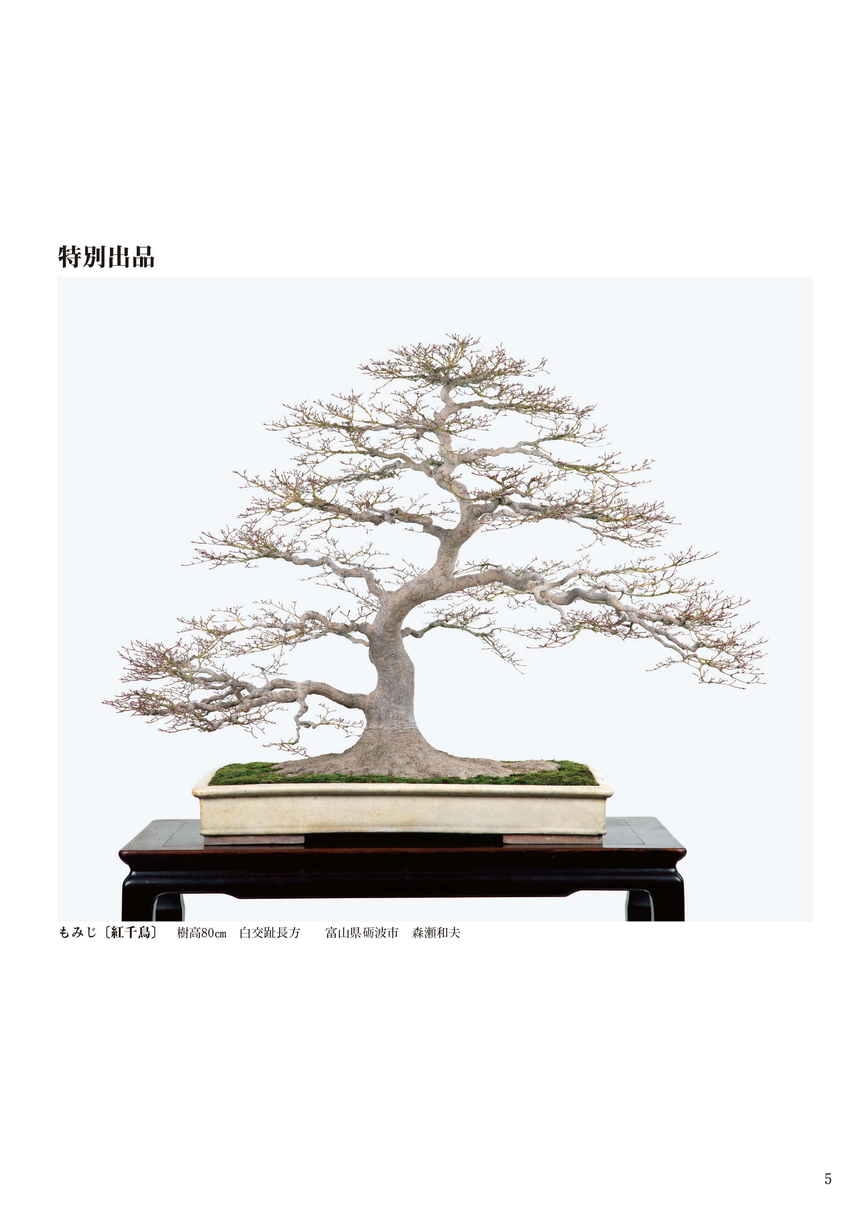 第94回 銘風盆栽展 記念帖 | 盆栽、盆栽書籍、盆栽鉢の通販│近代出版