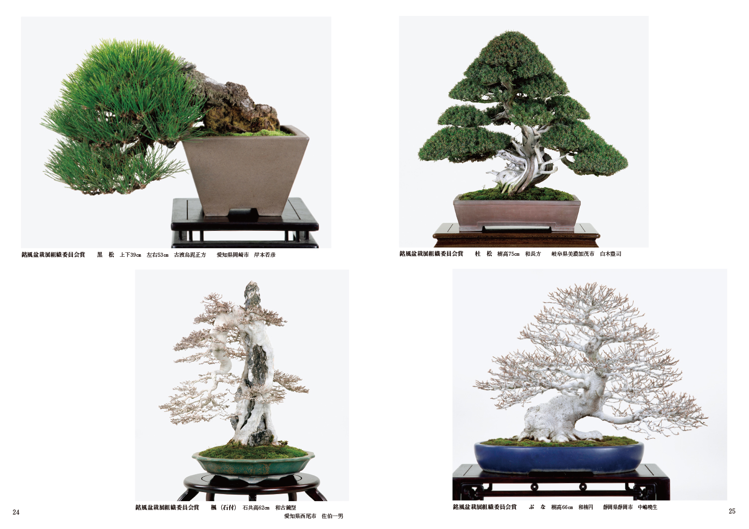 国風盆栽展 コレクション 13冊 国風盆栽展 コレクション 13冊 盆栽】第