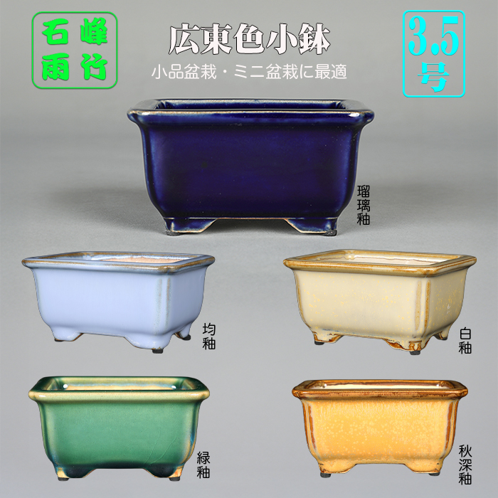 広東隅入長方鉢〔石峰雨竹〕 | 盆栽、盆栽書籍、盆栽鉢の通販│近代出版