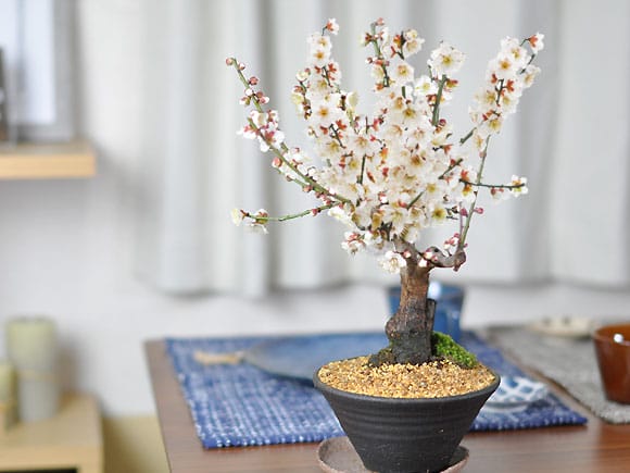 511_7.jpg?v=1705296962&width=1946