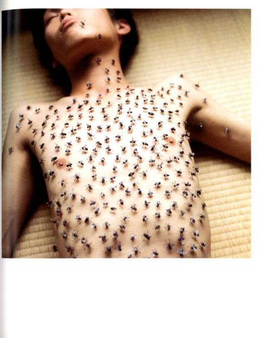 うたたね / 川内倫子 | 小宮山書店 KOMIYAMA TOKYO | 神保町 古書