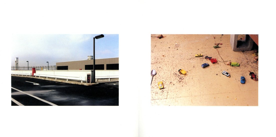 Chicken Skin Photographs part two / 写真：清野賀子 デザイン：石崎