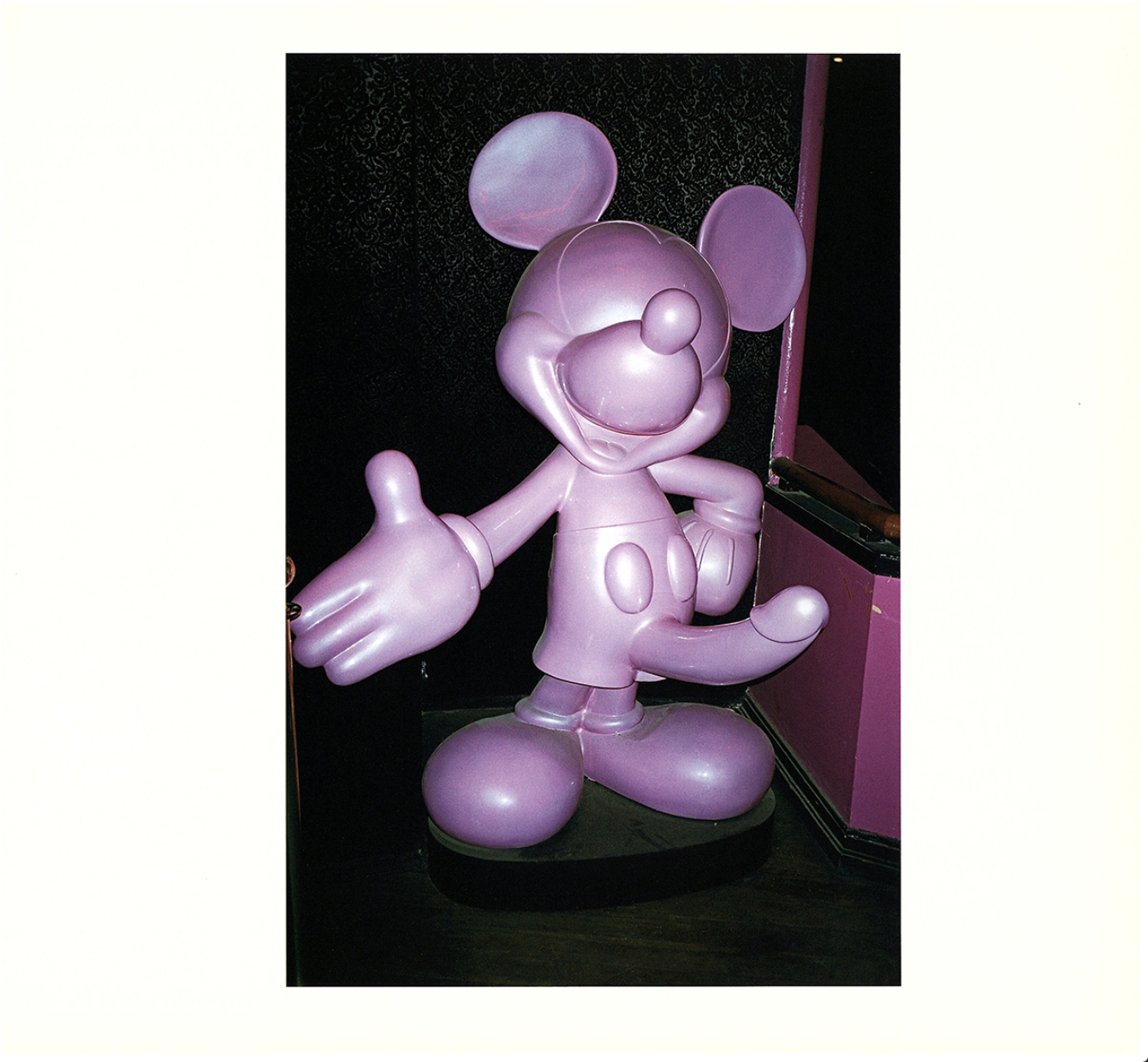 MANIMAL by Terry Richardson / 著：テリー・リチャードソン | 小宮山