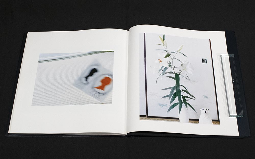 サイン入】MAP / 佐内正史 | 小宮山書店 KOMIYAMA TOKYO | 神保町 古書