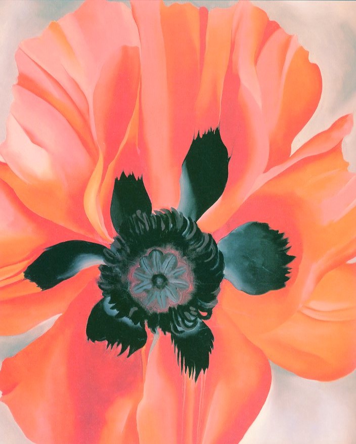 Georgia O'Keeffe: One Hundred Flowers / 著：ジョージア・オキーフ