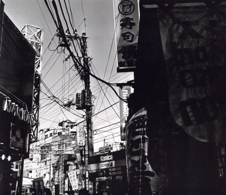 SPIDER'S STRATEGY / 写真：金村修 | 小宮山書店 KOMIYAMA TOKYO