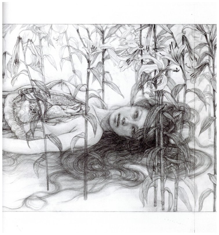 松井冬子画集 [一、ニ] / 松井冬子 | 小宮山書店 KOMIYAMA TOKYO