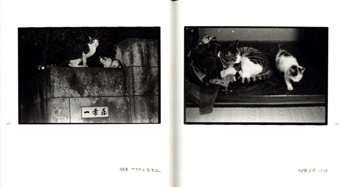 深瀬昌久 afterwordサスケ写真集 猫 2016年 初版限定900部 深瀬昌久