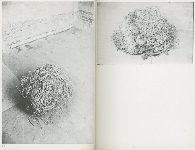 Aus Berlin: Neues vom Kojoten / Joseph Beuys | 小宮山書店 KOMIYAMA