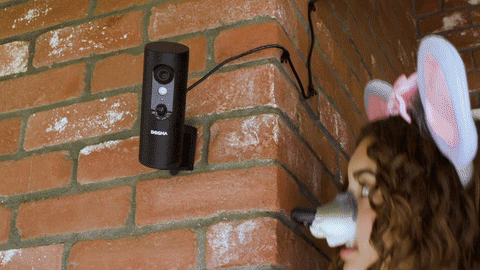 EX Camera Series – Bosma