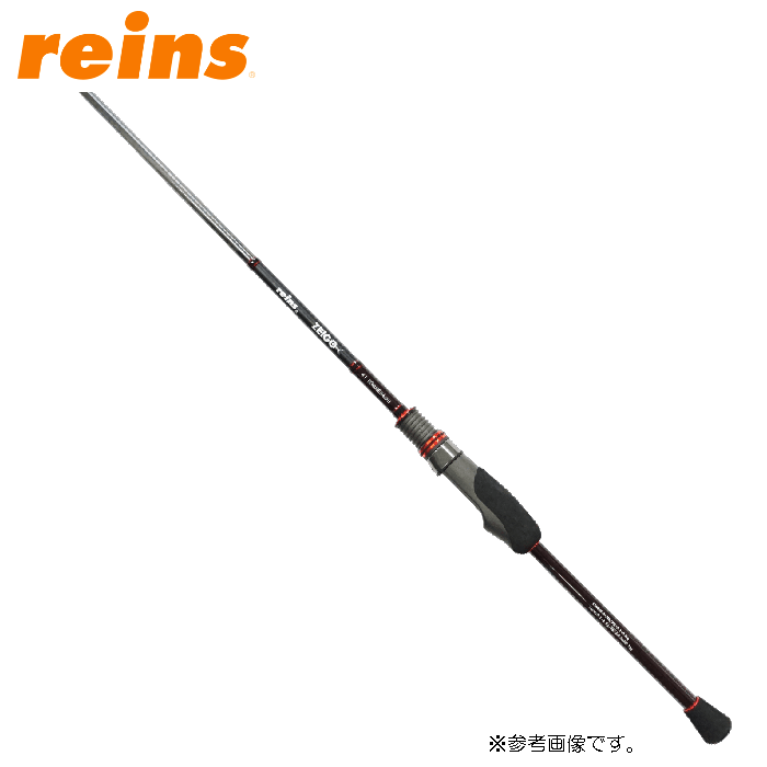 レインズ ゼイゴ デジーノブランクス 67 ROKUDENASHI - 【バス