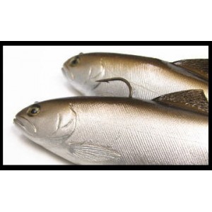 HUDDLESTON/ハドルストン 8inchスイムベイト/ROF-12 - 【バス