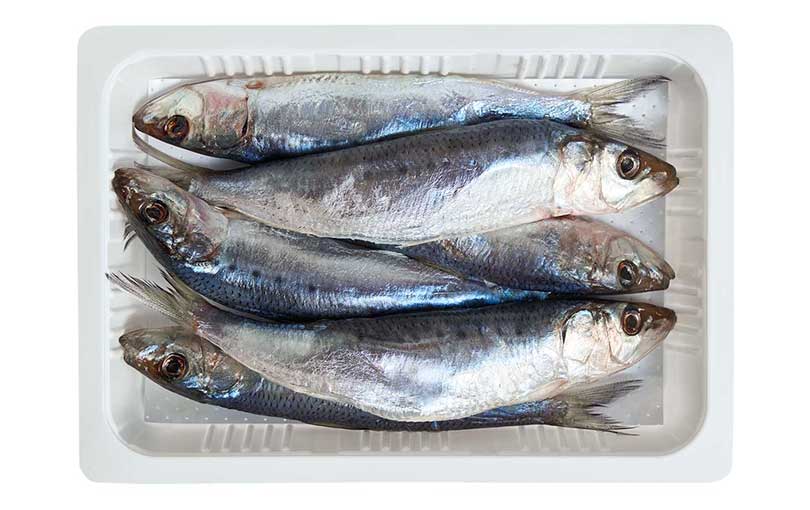 製品案内 | Gいわし | 株式会社浜市 総合釣り餌メーカー 釣らせ名人