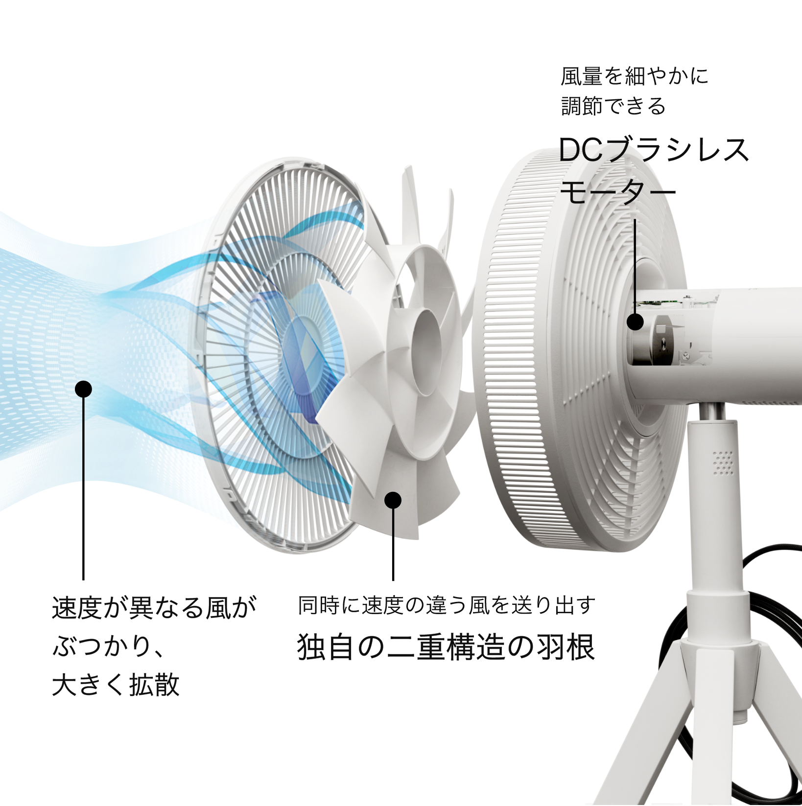 GreenFan Studioの特徴 | GreenFan Studio | BALMUDA（バルミューダ