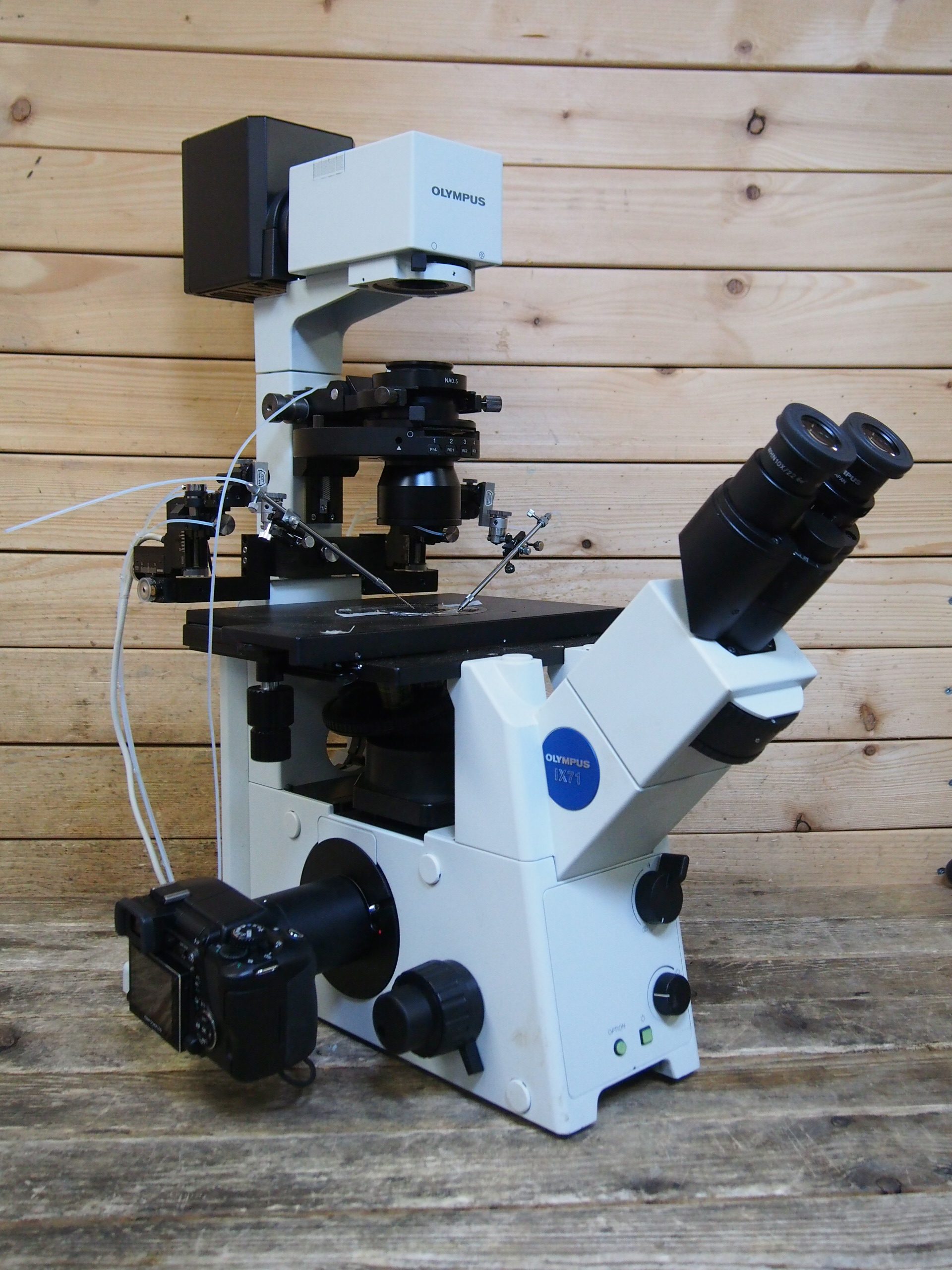 OLYMPUS CKX31 顕微鏡 NAO.30レンズ付き 値下げしました OLYMPUS CKX31