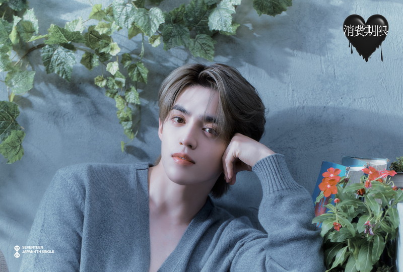 SEVENTEENが癒し＆傷を表現、日本4thシングル『消費期限』コンセプト