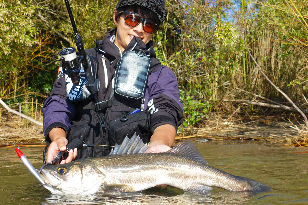 BALBAL99 Jerking Edition | バルバル | ロッド | 製品 | BlueBlue