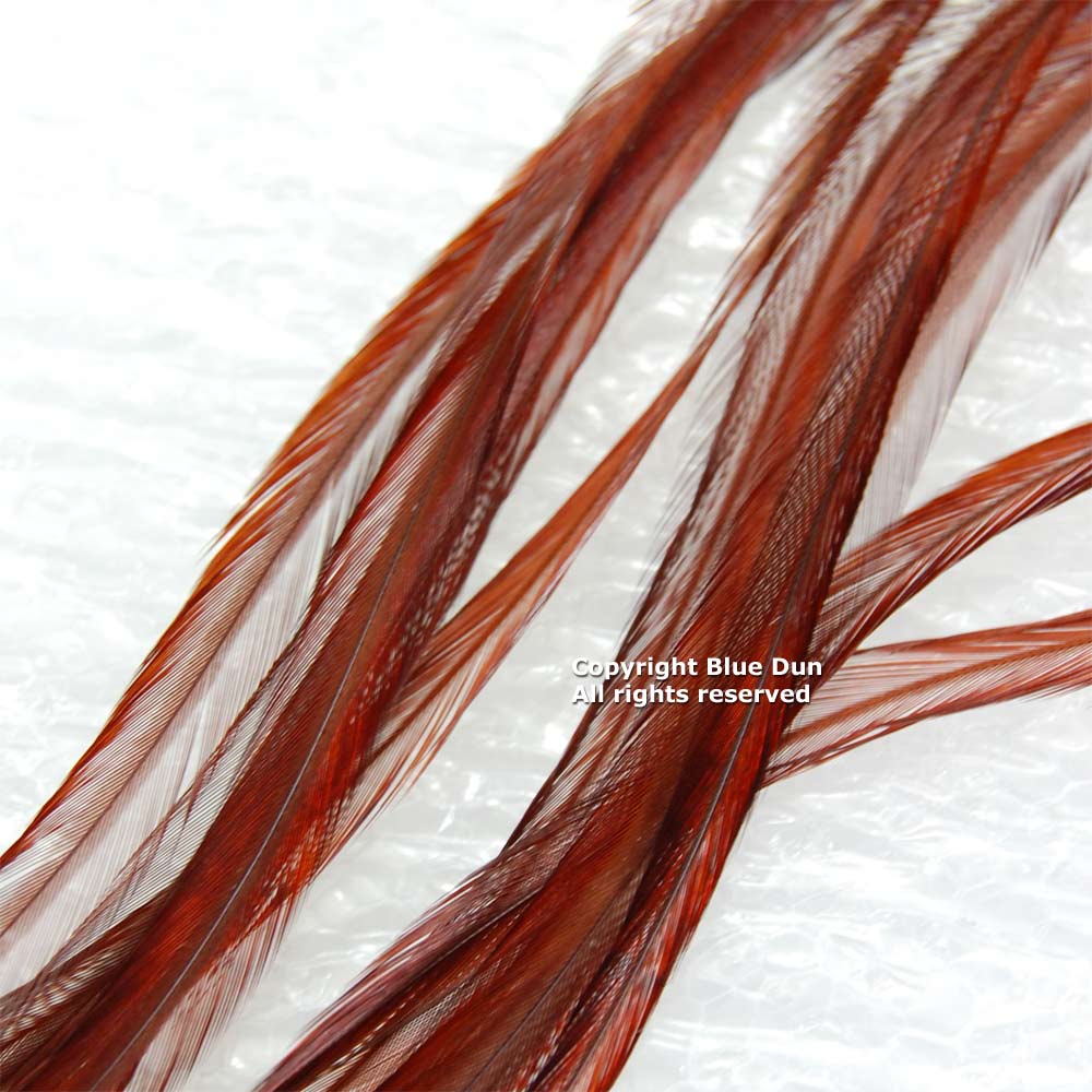 Whiting Farms Hebert 100's Saddle Pack Pro Grade | ホワイティング