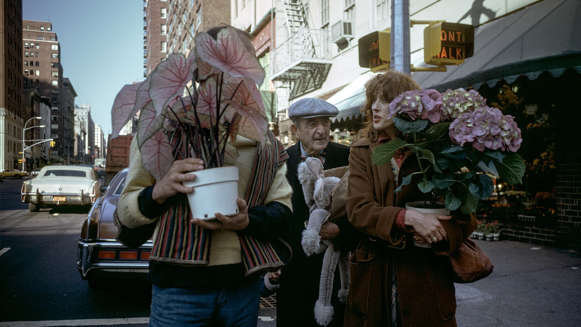 Joel Meyerowitz Revisits His 1983 Classic “Wild Flowers” — Blind