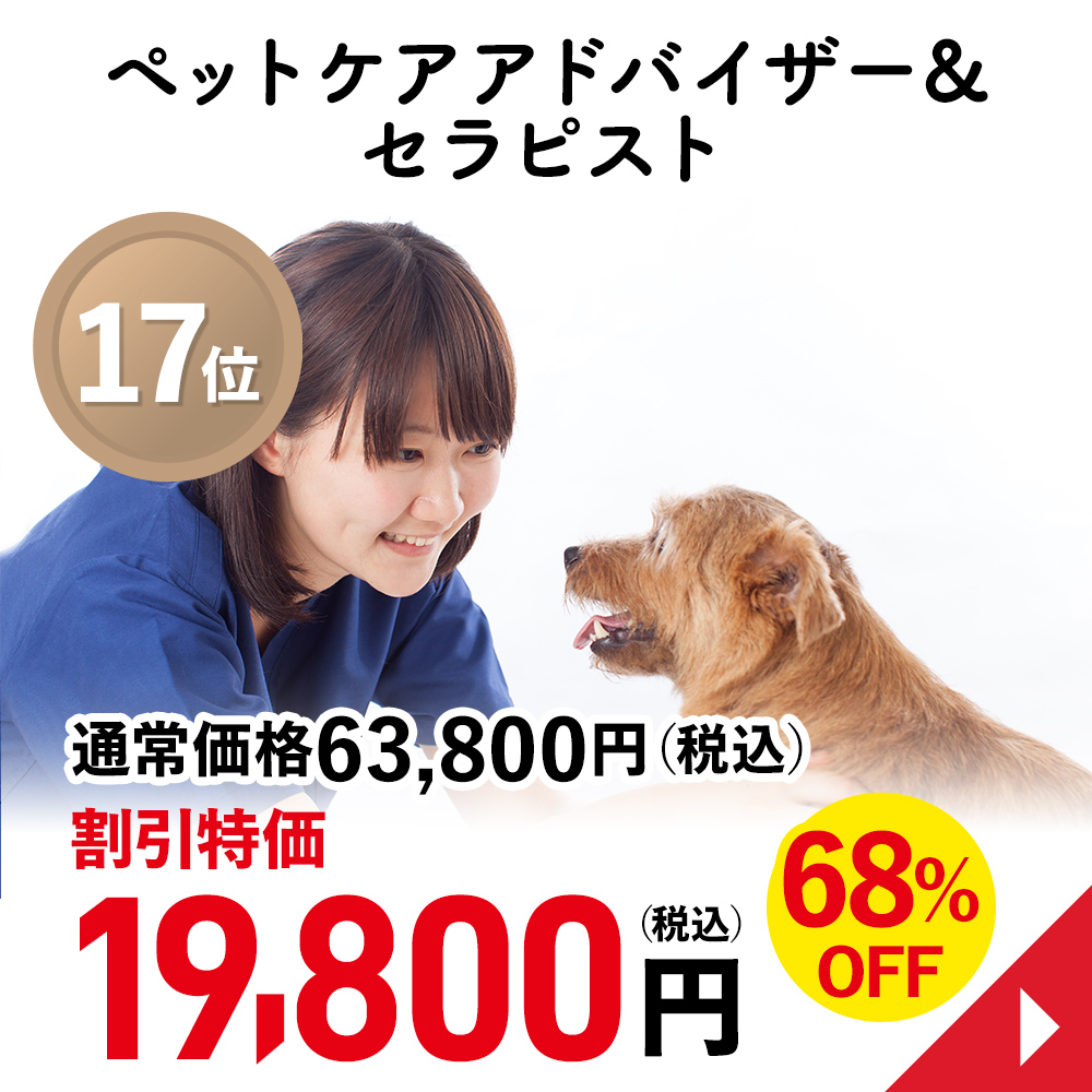 公式】通信教育講座・資格のキャリカレ｜キャリアカレッジジャパン