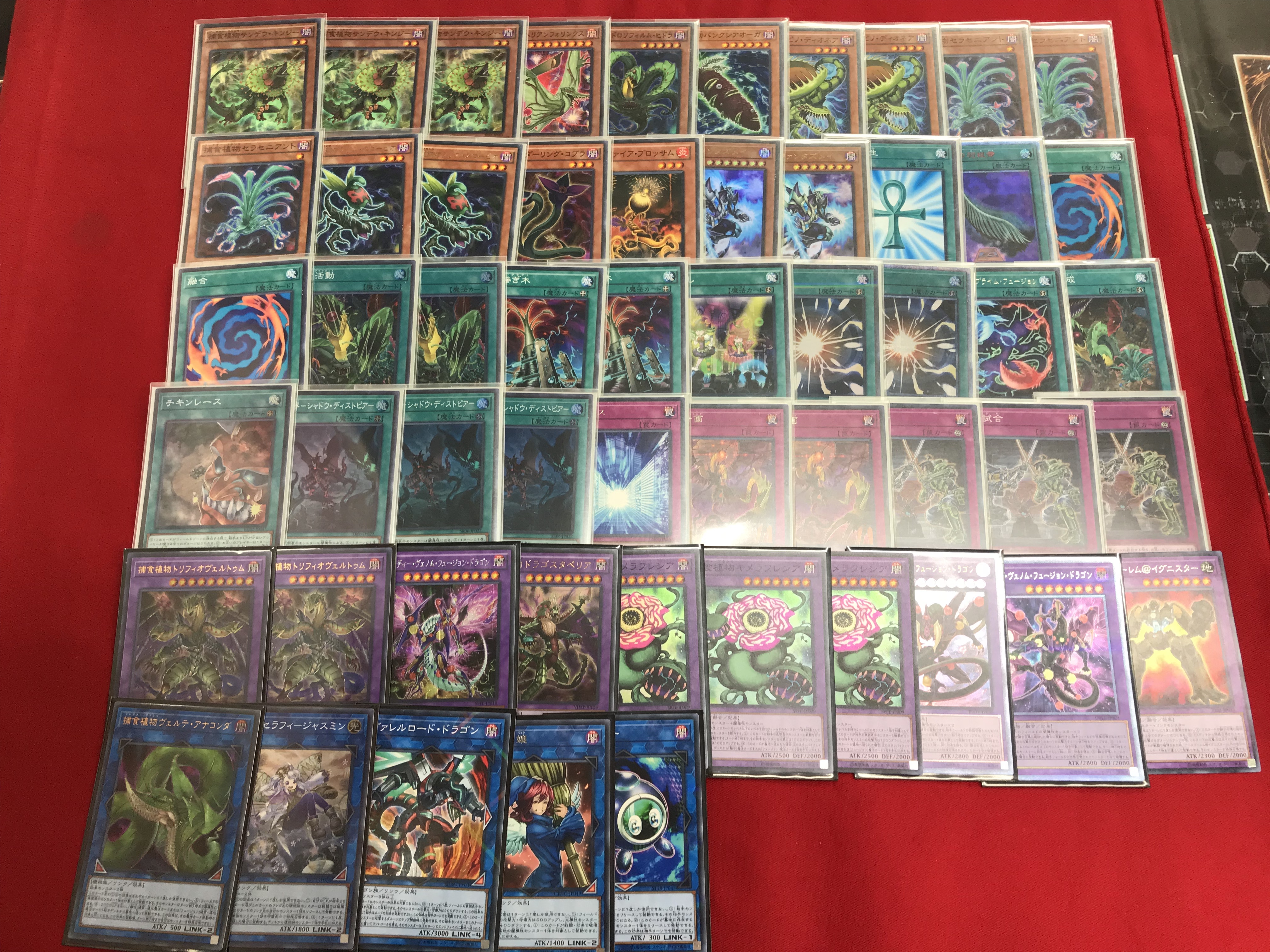 ☆カードラボ 遊戯王デッキ研究ラボ『捕食植物-プレデター・プランツ