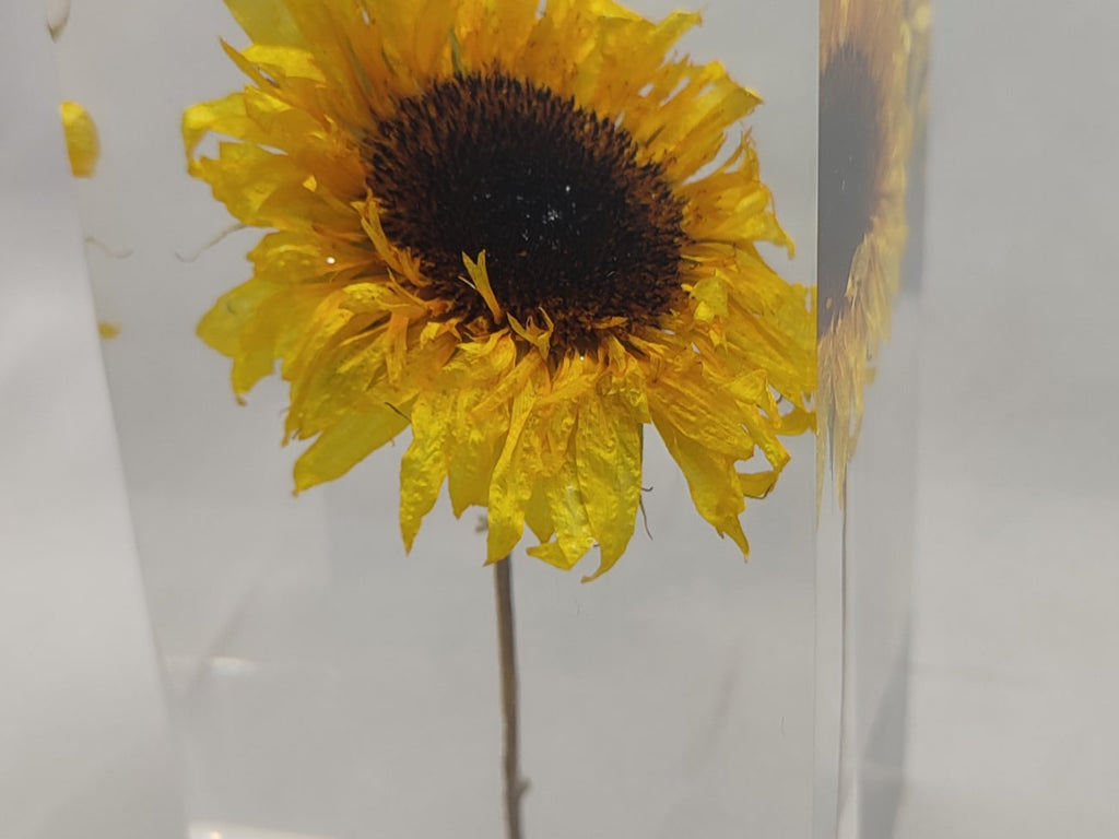 HIMAWARI Object | ヒマワリオブジェ by Takao Inoue | Generate Design