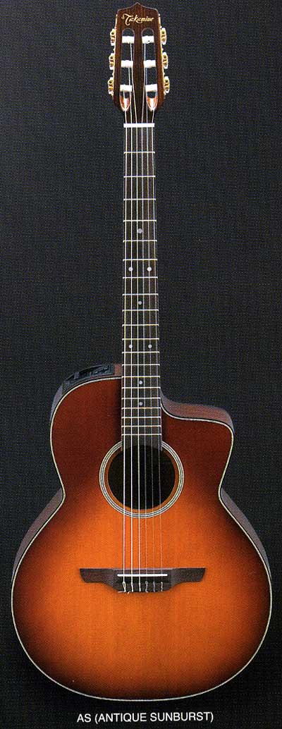 タカミネギター～Takamine Guitars～【ガッキコム】