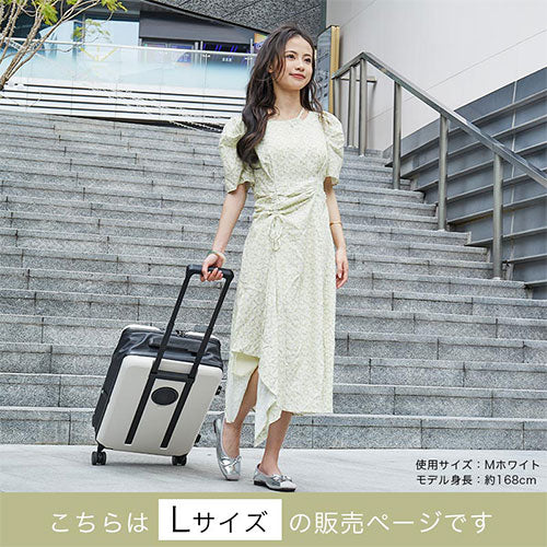 スーツケース L 65L 3-4泊用 バッグ 小物 おしゃれ ぼん家具 ETC001672