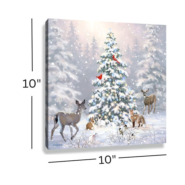 P2104_3_600x.jpg?v=1720038669