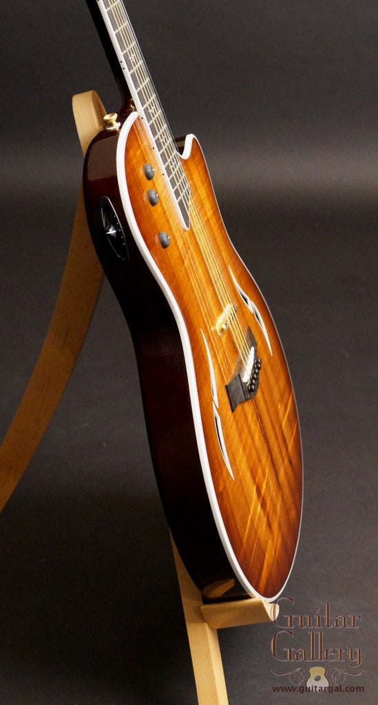 Taylor T5 Custom Hybrid Guitar – Guitar Gallery