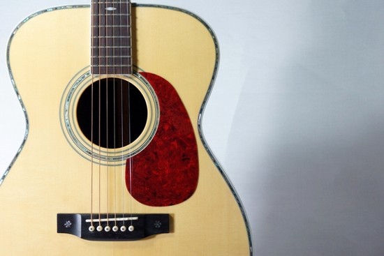 Aria Dreadnought 【AF-60 / トップ単板】 | D-plus-stock